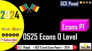 GCE O Level Economics 2024 P1 Complete Solution | GCE Panel |