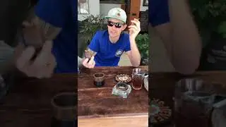 Living Soil - IMO4 - Q&A 🌱😎 Sunday Wake &rsquo;n Bake Talk