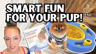 Best RUXAN Dog Puzzle Toys: Interactive Dog Puzzle Toys & Slow Feeder Bowls Review
