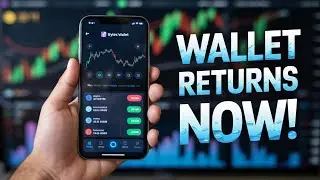 Bytnex Update   What Happened for 1 Week