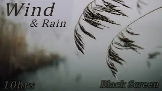 SleepSeries😴|10hrs|🌧 LOUD RAIN 🌧|💧 Big Drops 💧|⬛ Black Screen ⬛| Relax |👨&zwj;🎓 Study 👩&zwj;🎓| Meditate 🧘&zwj;♂️
