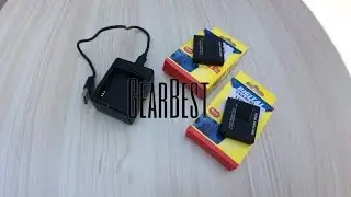 Battery and Dual Charger for Xiaomi Yi Action Camera