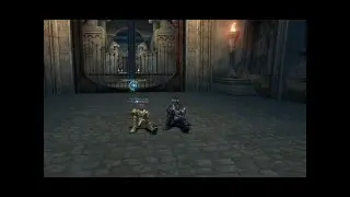 Lineage 2  full gdr shard Aeternitas