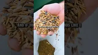 Check your seed depth!