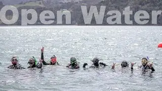 Diving Ti Point | Auckland Uni Training