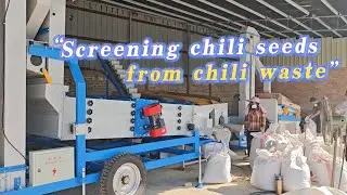 Screening chili seeds from chili waste
