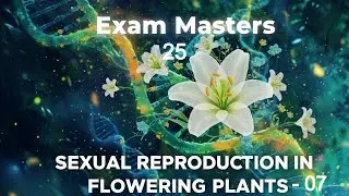 Sexual Reproduction in Flowering Plants (Female Gametophyte) - 07