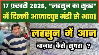 लहसुन में आज बाज़ार बन गया ? Azadpur Delhi Mandi Today 17-02-2026 को बने ऐसे Garlic Price DMT TV