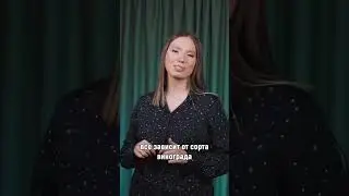 Что такое танины, откуда они берутся в вине и как влияют на вкус? 😌