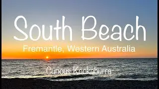 Relaxing arvo with blue skies at Freo | South Beach - Fremantle WA