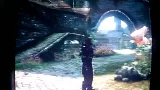 Skyrim: ballerina Hawk :D
