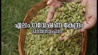 Cardamom Research Station Pampadumpara | ഏലം ഗവേഷണ കേന്ദ്രം പാമ്പാടുംപാറ