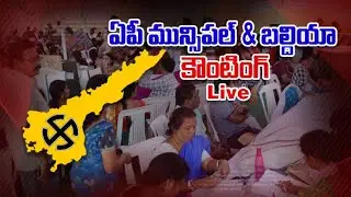 AP municipal elections live results 2021