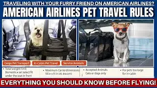 Правила перевозки домашних животных American Airlines | Все, что вам нужно знать перед полетом!