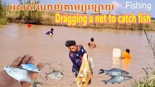 អូសត្រីតាមប្រឡាយ Dragging a net through a canal to catch fish