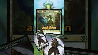The 3 Most Popular Creature Types in Commander!