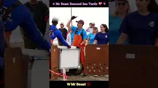 Mrbeast Saving 1000 Animals ! Mrbeast Rescued Sea Turtle ! #mrbeast #vyropartner