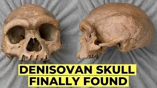 Ancient DNA Reveals Denisovans: The Lost Human Species That Shaped Modern Humans