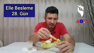 Elle Besleme Hakkında merak edilenler? Tavsiyeler ve Önemli bilgiler. 1