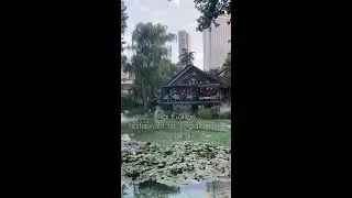 SHANGHAI RESTAURANTS: THAI GALLERY| Good places for a date or birthday party in Shanghai