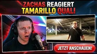 JBB 2025 Qualifikation: Kopie oder King? 🧐 Meine Meinung zu Tamarillo | Reaction | Zachas