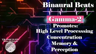 Gamma 2-Great Music For Studying-1 Hour-High-level Cognitive Processing-Attention-Memory-Perception