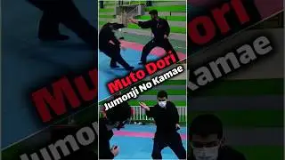 Bujinkan - Taihen jutsu Kihon - Muto Dori (Sword Evasion Drill) #ninjutsu #bujinkan #shortsfeed