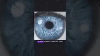Доступный ноотропный препарат