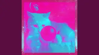 Background for Chilling Cats