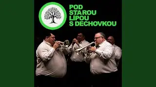 Pod starou lípou