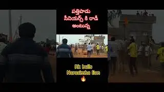 rk bulls pattipadu pandrm ki raddy antuna narasimha lion