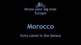 Morocco 4: itchy camel in the Sahara