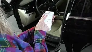Mobile Tech RX: Auto Reconditioning Software