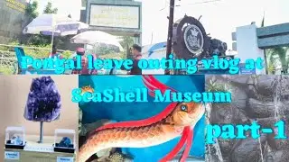#Seashell museum polamaa..Part-1