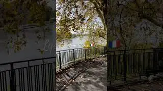 Discovering the hidden nature gems of Lyon, one short at a time #naturelovers #lyon #shortsviral