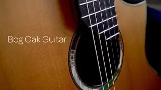 Bog Oak Guitar - Trailer