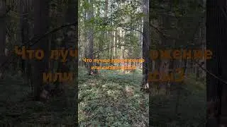 Что лучше приложение или смартчасы3