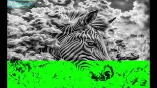 Free Zimdanceholl Tipindewo Riddim Demo Pro by Lando D Music Official beat Shona Music 