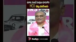 Harish Rao Comments on HCU Land Issue | CM Revanth Reddy | Congress | Hydra | Aadya TV