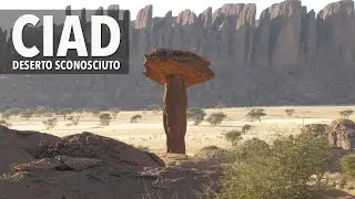 Ciad : Dalla savana al deserto - Con Geerewol