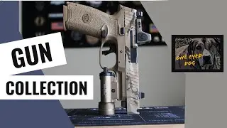[2022 Gun Collection]