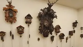 Cuckoo Room of the Southwest Museum of Clocks & Watches.