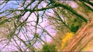 ELEANOR - Growing over with grass