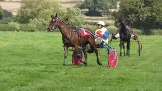 ALMELEY & MERTHYR HARNESS RACES 2017 NURSERY RACE