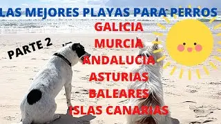 🏖LAS MEJORES PLAYAS PARA PERROS DE ESPA&Ntilde;A PARTE 2 CASTELLON GALICIA CANARIAS BALEARES MURCIA ASTURIA