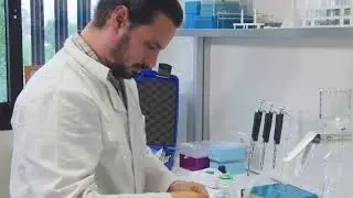 SOMOS M&Aacute;S COOPERATIVAS- Nucleus Biolab S.Coop.And (C&oacute;rdoba)
