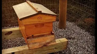 Setting Up the Bee Yard