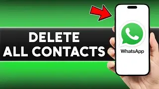 How to Delete All Contacts from WhatsApp