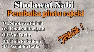 Sholawat Nabi Pembuka pintu rejeki❗Paling adem di hati.