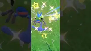 Shiny Yanma found in Pokemon Scarlet! #pokemon #shinypokemon #pokemonscarletandviolet